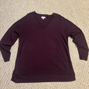 Wonderly Deep Purple V-Neck Sweater